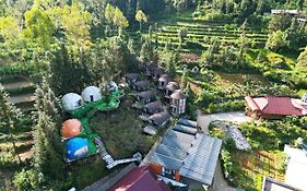 Plum Homestay Đồng Văn